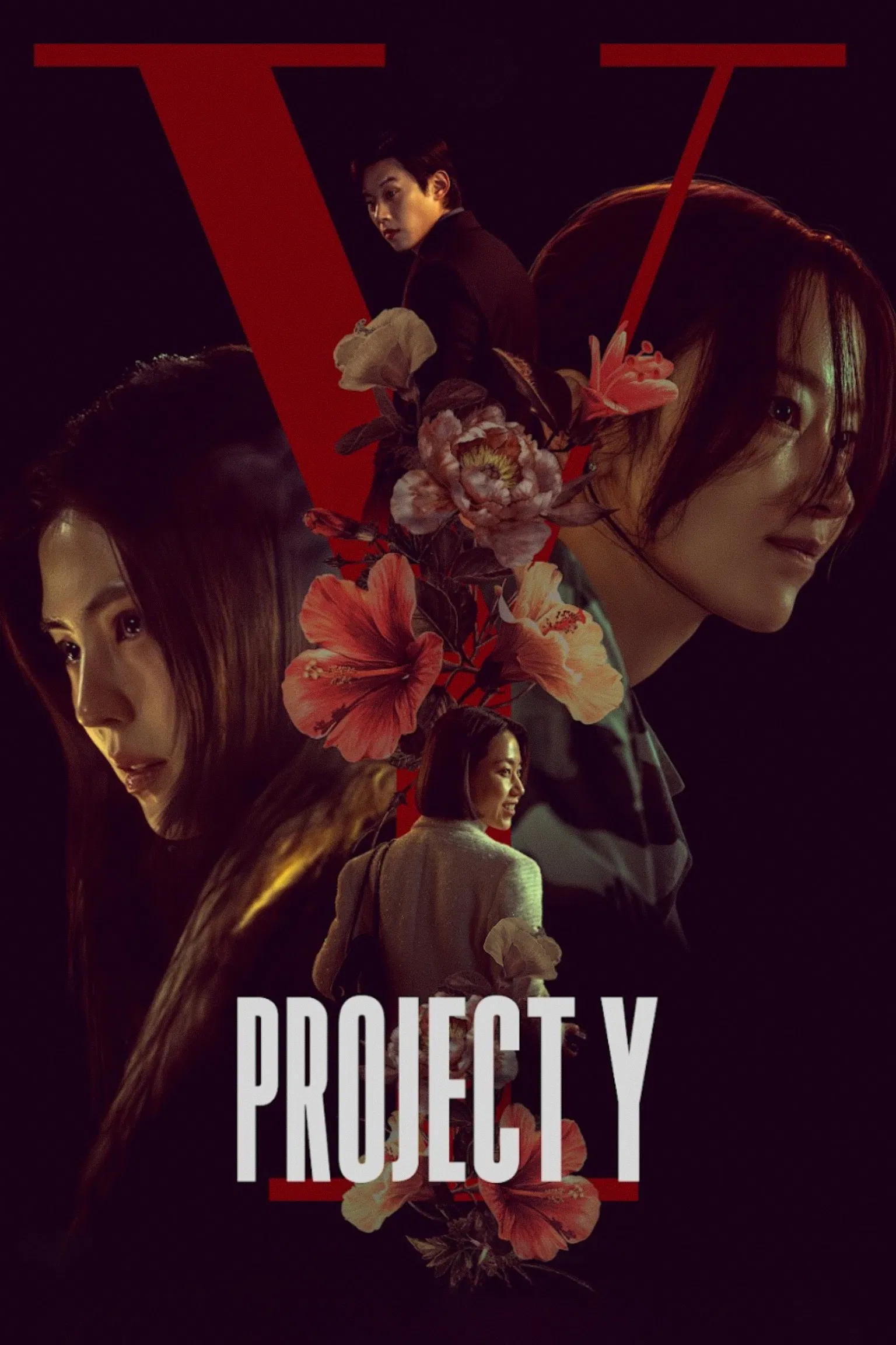 Project Y (2026) Full Movie